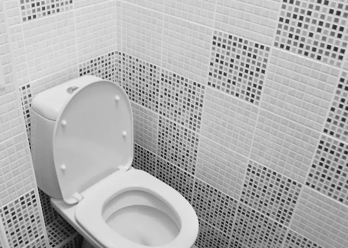 您好索非亚旅馆 *